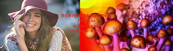бошки Дмитров