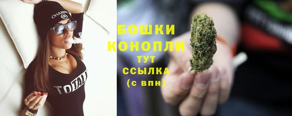 2c-b Дмитриев