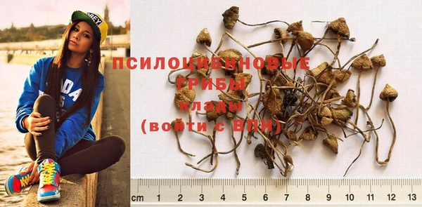 бошки Дмитров