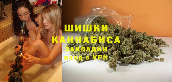 бошки Дмитров