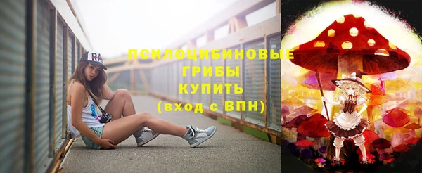 сатива Гусиноозёрск